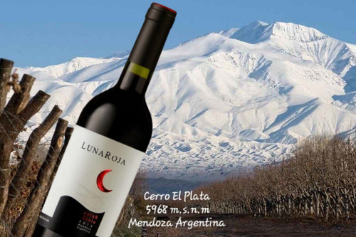 Vino Luna Roja Syrah Roble X 6 750ml Vino de Autor