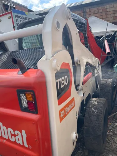 Bobcat