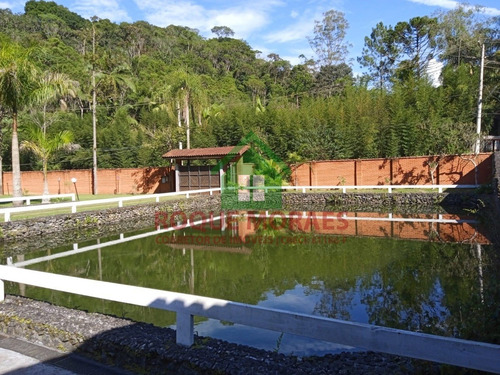 Imagem 4 de 30 de Chácara À Venda Em Juquitiba Medindo 4000m² Ref.: 0972