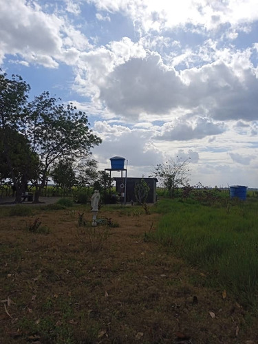 Imagen 12 de 15 de Se Vende Finca Via Al Sur Ve02-1303vs-dfer