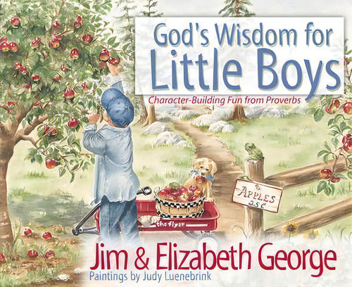 God's Wisdom For Little Boys : Character-building Fun From Proverbs, De Jim George. Editorial Harvest House Publishers,u.s., Tapa Dura En Inglés