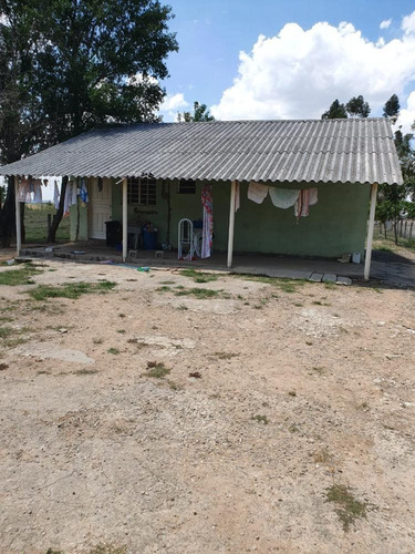 Imagem 12 de 27 de Excelente Sitio A Venda Em Pereiras - 531