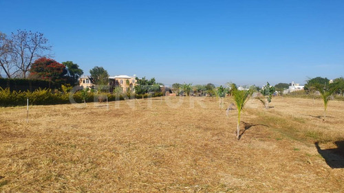 Venta De 6 Lotes En Tlalixtac De Cabrera, Oaxaca