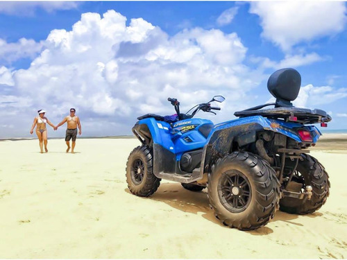 Imagem 6 de 6 de Cfmoto Cforce 450 L 4x4 Aut. + Guincho