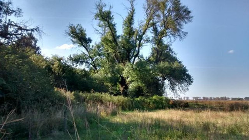 Imagen 6 de 8 de Campo Roldán Sobre A012 3,5 Hás