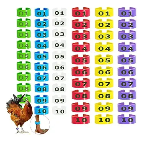 Bandas Para Patas De Aves De Corral, Etiquetas Numeradas