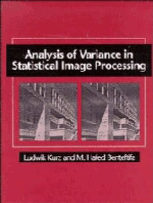 Libro Analysis Of Variance In Statistical Image Processin...