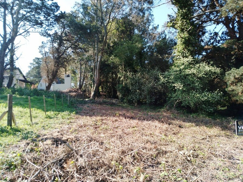 Imagen 4 de 12 de Lote En Venta - Sierra De Los Padres
