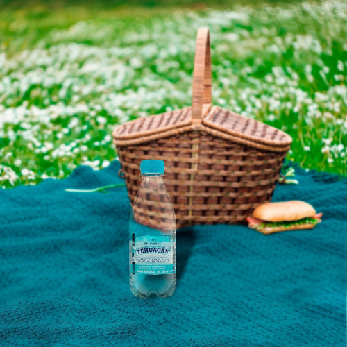 Caja Agua Mineral Con Gas 12 Und Tehuacan 300ml