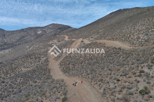 22 Parcelas De 5,000 M2 En Venta El Hinojal,valle De Elqui.