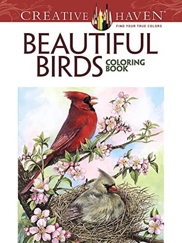 Beautiful Birds: Colouring Book, De Dot Barlowe. Serie Posh, Vol. 1. Editorial Paäper Art, Tapa Blanda, Edición Papel En Inglés, 2020