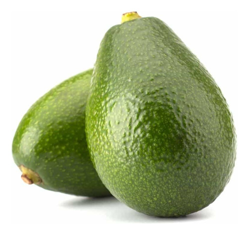 Aguacate Zutano
