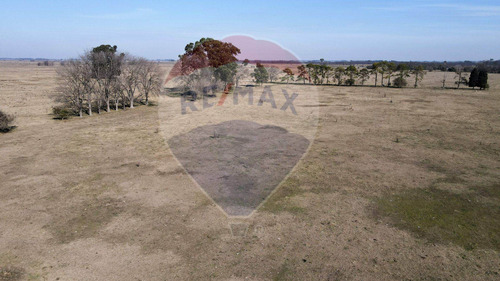 Imagen 7 de 13 de Campo 157 Hcts En Venta San Vicente P/desarrollo