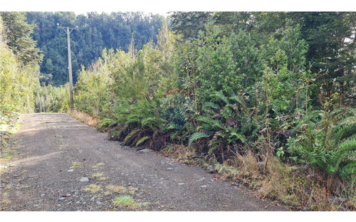 Parcela Con Bosque Nativo En Puerto Varas