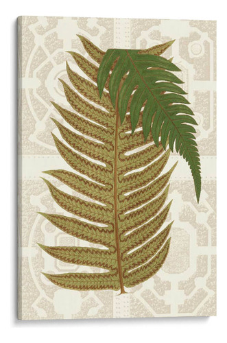 Canvas Lab Cuadro Helechos De Jardín Ii 120x180