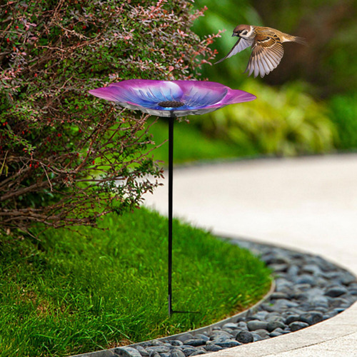 Accesorios De Alimentación De Aves De Baño De Púrpura