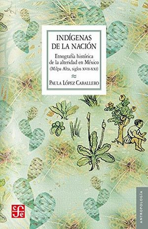 Libro Indigenas De La Nacion Etnografia Historica De La  Nvo