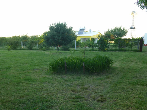 Chacra En Uruguay 3 Hct Soriano Casa Galpon Frutales