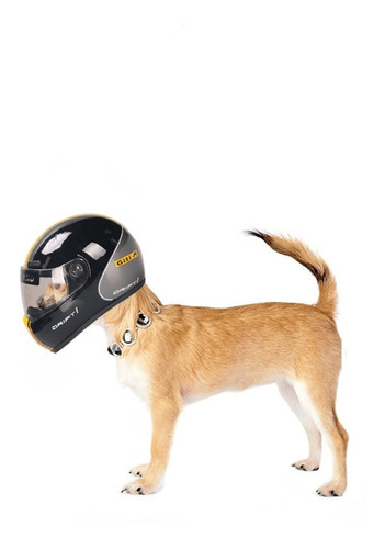 Casco Para Perro Biker Raza Mini O Cachorros 