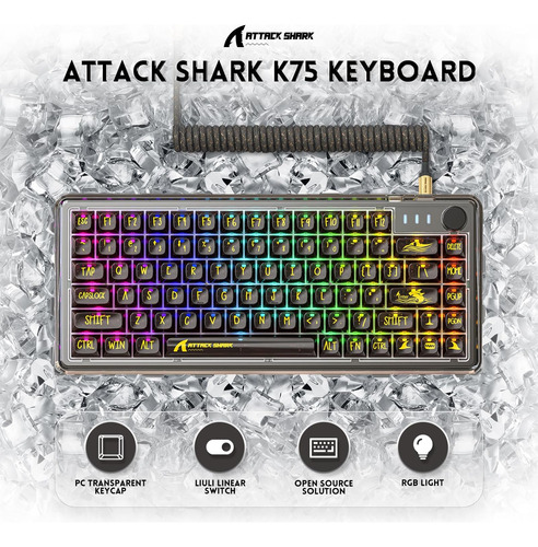 Magic-refiner 81 Keys Compact Gaming Keyboard Y Cable Usb C