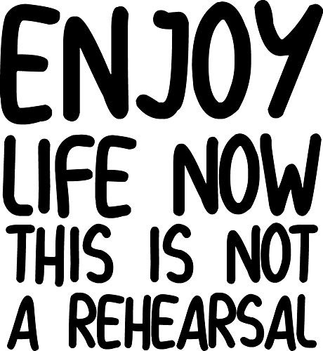 Vinyl Art Wall Decal - Enjoy Life Now This Is Not Rehea...