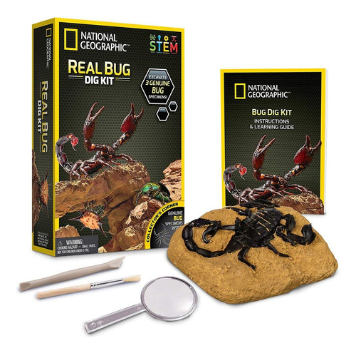 Kit National Geographic Bug Dig