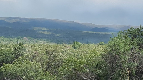 Imagen 2 de 8 de En Traslasierras, Salsacate, Se Vende 100 Ha. Con 300 Mts. De Arroyo Y Arboleda Centenaria, Ideal Parquizar, Descanso, Permacultura, Producción De Nueces Y Frutas. Trekking, Mountain Bike, Cabalgatas.