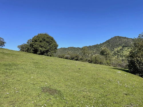 Venta Parcelas Agrado A 3 Horas De Santiago