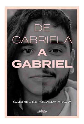 Libro De Gabriela A Gabriel - Gabriel Sepúlveda