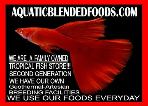 Alimento Para Peces Abf Ultra Multi Worm, Bloodworm & Krill
