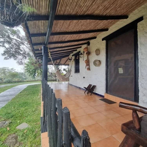 Imagen 7 de 15 de Terreno En Venta Bejuma