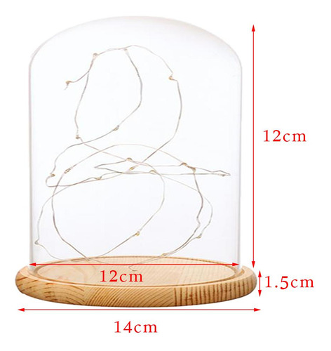 Glass Cloche Con Led Fairy Lights Mi Mi