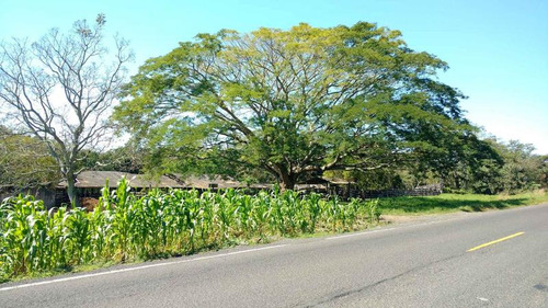Vendo Rancho Ganadero 223 Hectáreas Temapache Veracruz