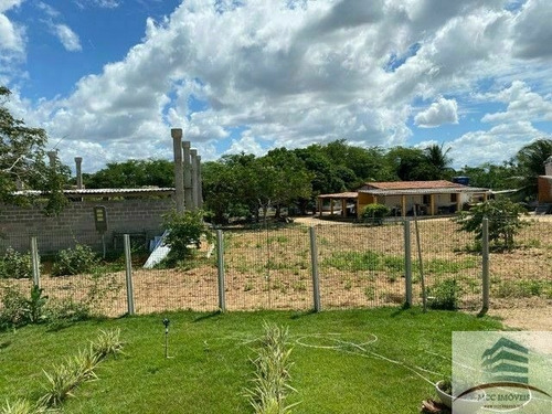 Imagem 6 de 10 de Granja A Venda Em Macaíba