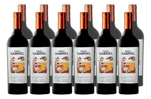Vino Finca Gabriel Merlot Bodega Jorge Rubio Pack X12