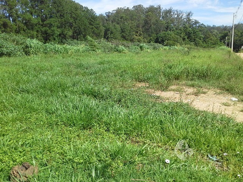 Imagem 3 de 12 de Terreno De 1.261,00 M², Próximo Do Paço Municipal De Jundiaí - Te00015 - 2451825