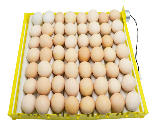 56 Huevos 9 Varillas Los 44x44x6cm 56 Huevos 9 Varillas