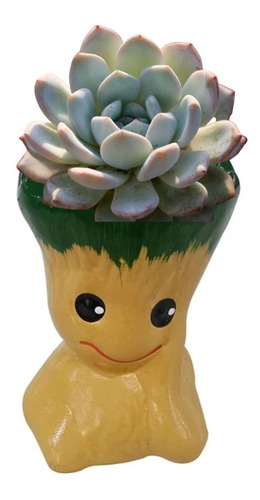 Cachepot Decorativo Mini Suculentas Groot Baby Jardim