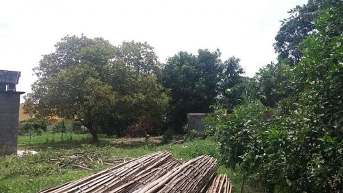 Imagem 2 de 8 de Terreno Para Venda Em Magé, Jardim Da Paz - Mauá - Terrenove_1-1016613