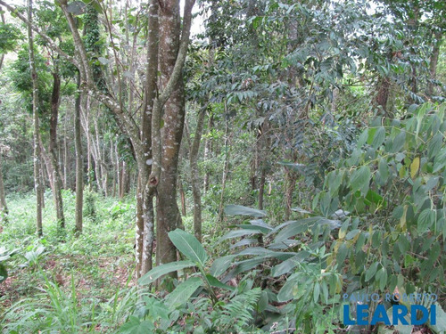 Imagem 13 de 13 de Area - Jardim Aracy - Sp - 390785