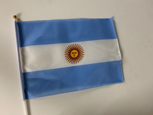 Bandera Argentina 20 X 30cm Con Mastil