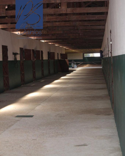 Imagem 23 de 28 de Fazenda - Fa00007 - 69954956