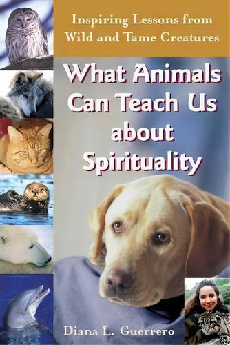 What Animals Can Teach Us About Spirituality, De Diana L. Guerrero. Editorial Jewish Lights Publishing, Tapa Blanda En Inglés