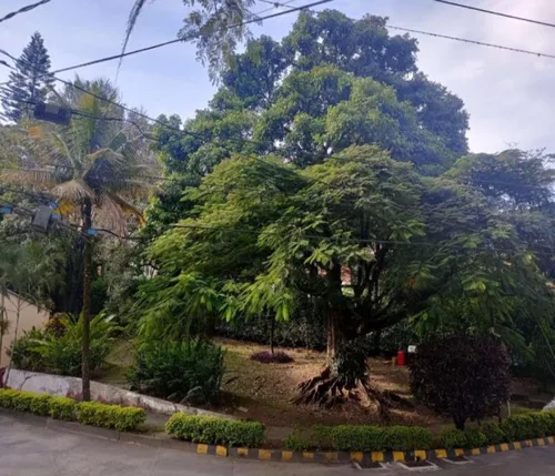 Se Vende Apartamento Calasanz Parte Baja (ml)