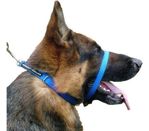 Collar Canny - El Collar Para El Entrenamiento De Perros Y C
