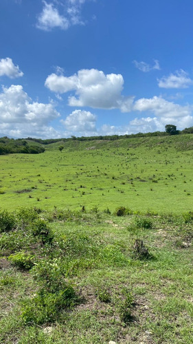 Se Vende Terreno De 200 Tareas Con Deslinde Ubicado En Pay