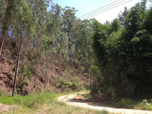 Imagem 9 de 30 de Terreno Botujuru Mogi Das Cruzes Sp Brasil - 87