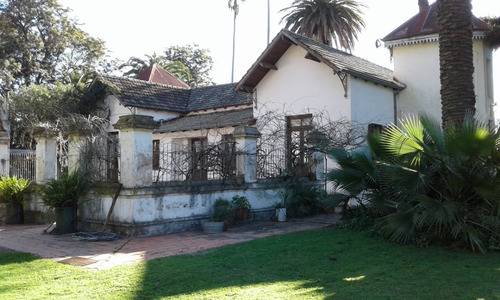 Imagen 9 de 20 de Casa Quinta - Única - En Gualeguay