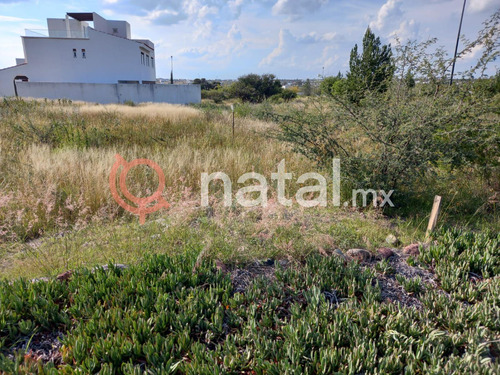 Terreno En Venta Condominio Roble Ciudad Maderas Lagos De Moreno Jalisco