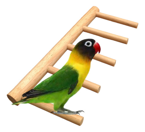 Percha Tipo Escalera Para Aves Pericos Ninfas Agaporni